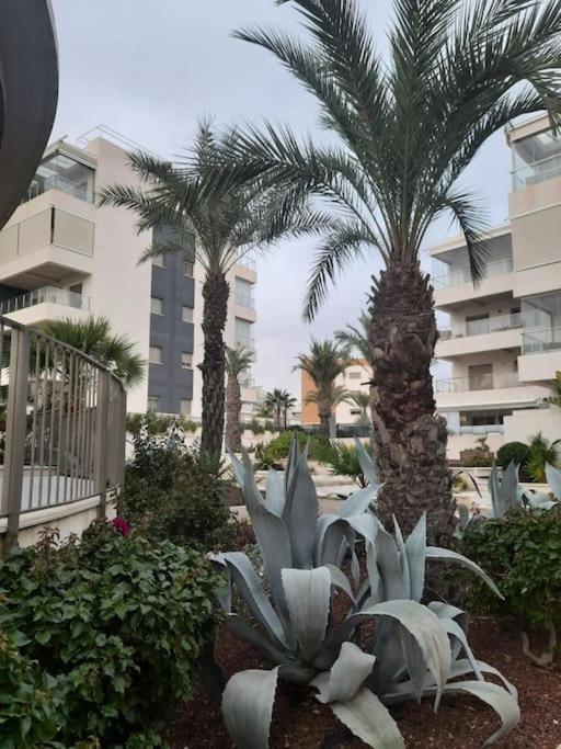 Green Hills Apartament La Zenia 3 New Beautifull Rooms Open First Season 阿利坎特 外观 照片